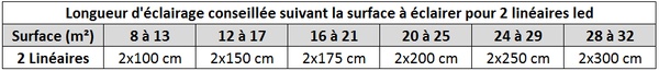 tableau 2 linéaires led veranda